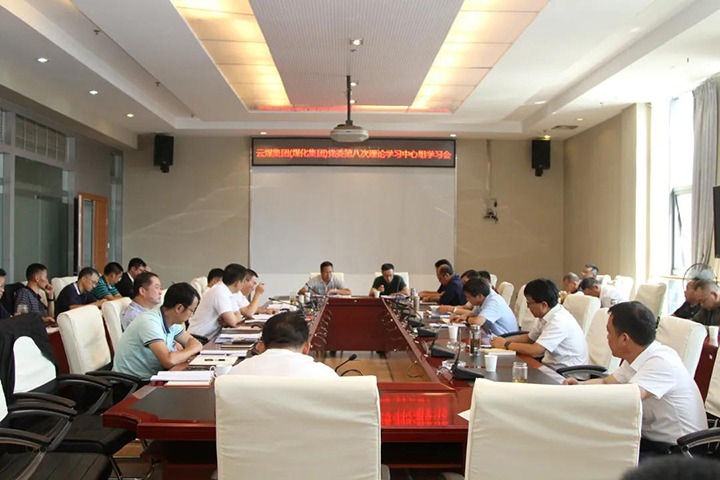 云煤（云顶国际）集团党委发展2021年第八次党委理论进建中心组集中进建