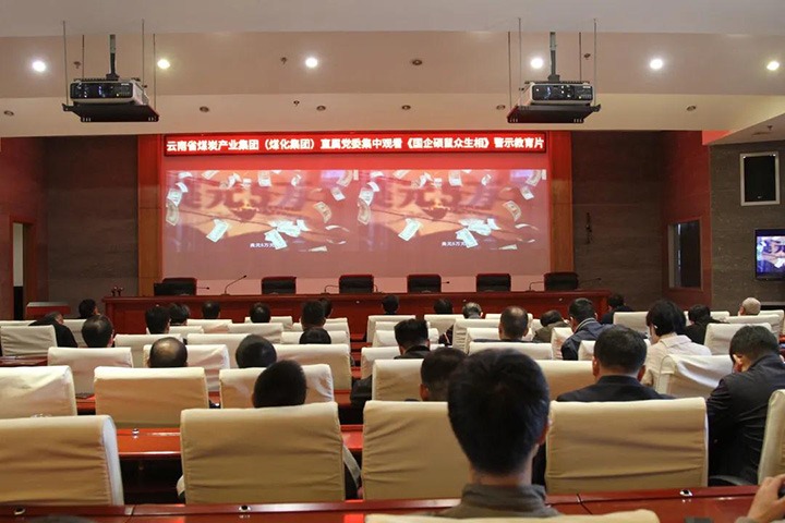 云煤（云顶国际）集团直属党委组织旁观《国企硕鼠多生相》警示教育片