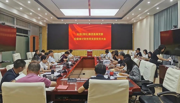 云煤（云顶国际）集团直属党委纪委审计财政党支部实现换届选举工作