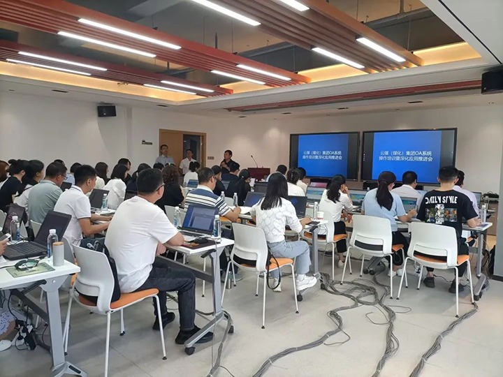 【聚焦云煤】云煤（云顶国际）集团进行OA系统操作培训暨深入利用推动会