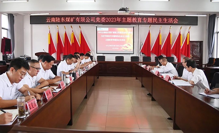 【主题教育】云煤（云顶国际）集团党委委员、纪委书记翁立志到陆东煤矿公司领导主题教育专题民主生涯会