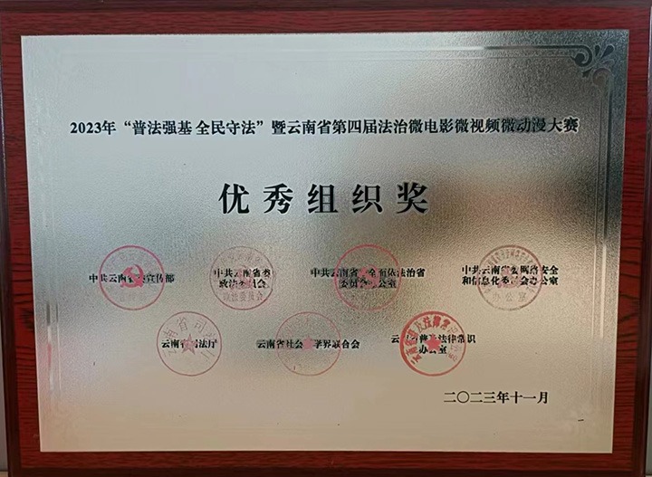 【喜报】云煤（云顶国际）集团荣获“双奖”