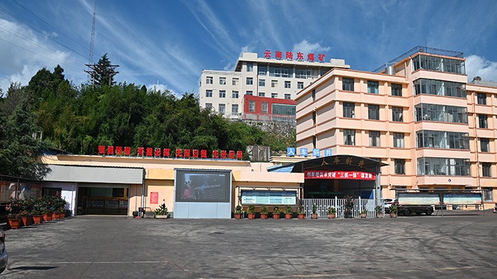 【基层党建幼隐语】强化党建引领，推动融合中心工作提质增效