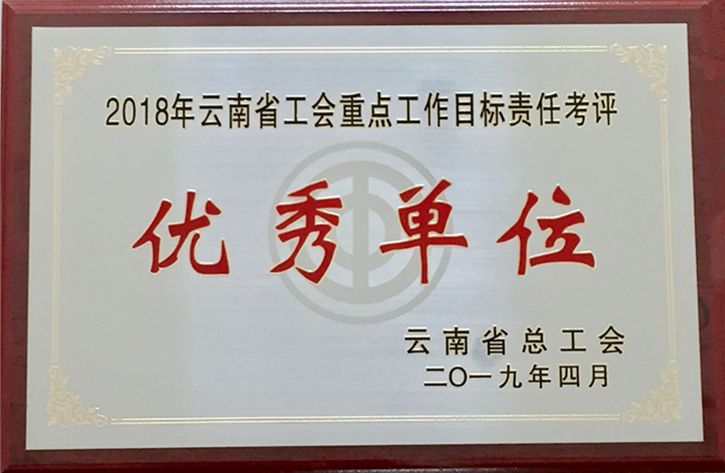 云顶国际集团工会获2018年度省总沉点工作指标责任考评优良单元_副本_副本 - 副本.png